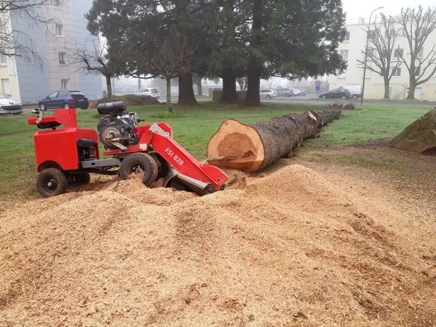 Bois de chauffage en Vendée — chêne et frêne issus des chantiers d'abattage Bouilly Élagage