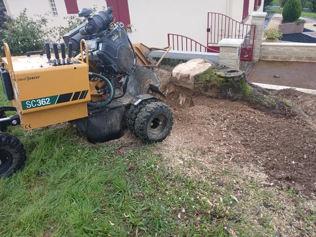 Rognage de souche en Vendée