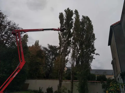 Nacelle taillant des peupliers le long d'un mur